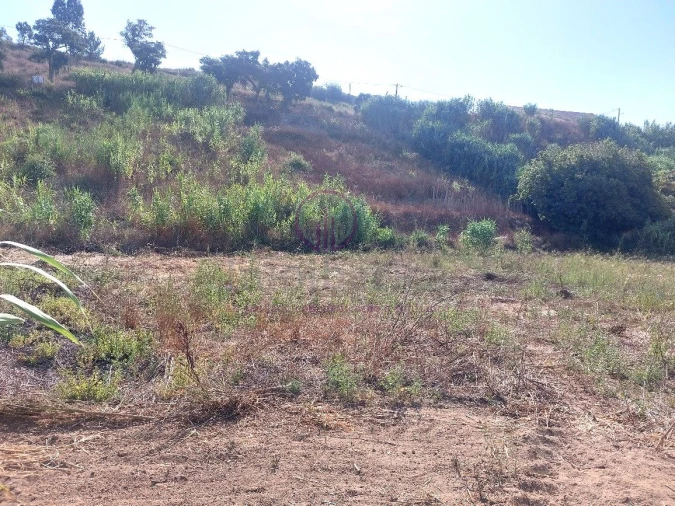 Terreno para Venda em Milharado Foto 22