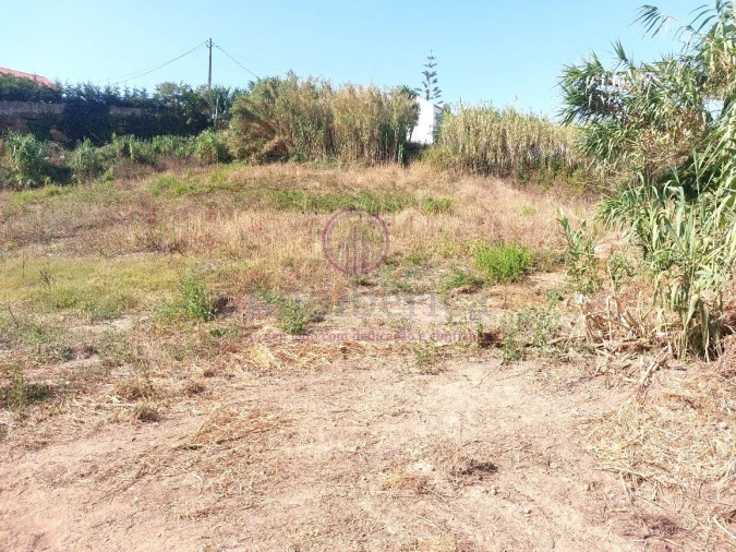 Terreno para Venda em Milharado Foto 5