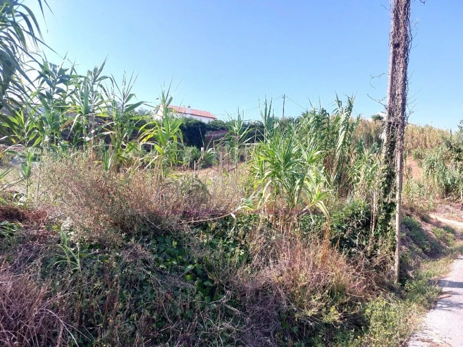 Terreno para Venda em Milharado Foto 20
