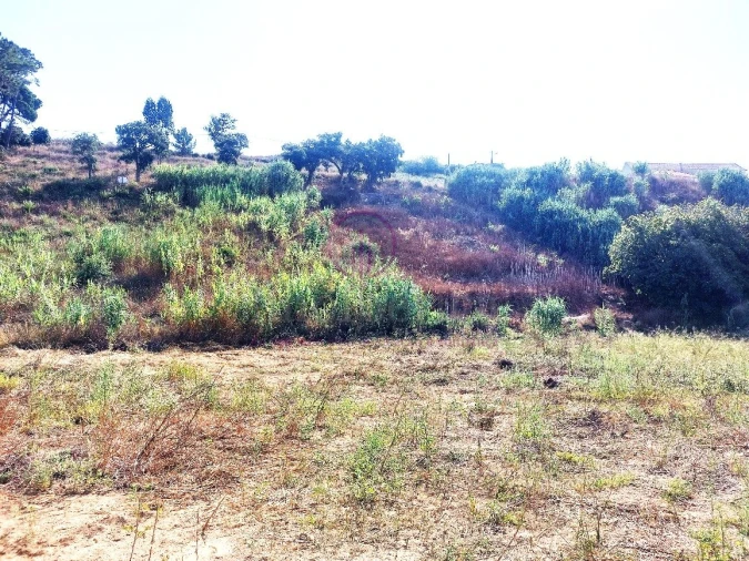 Terreno para Venda em Milharado Foto 9