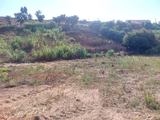Terreno para Venda em Milharado Foto 11