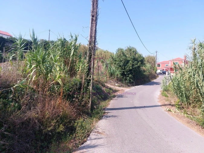 Terreno para Venda em Milharado Foto 21