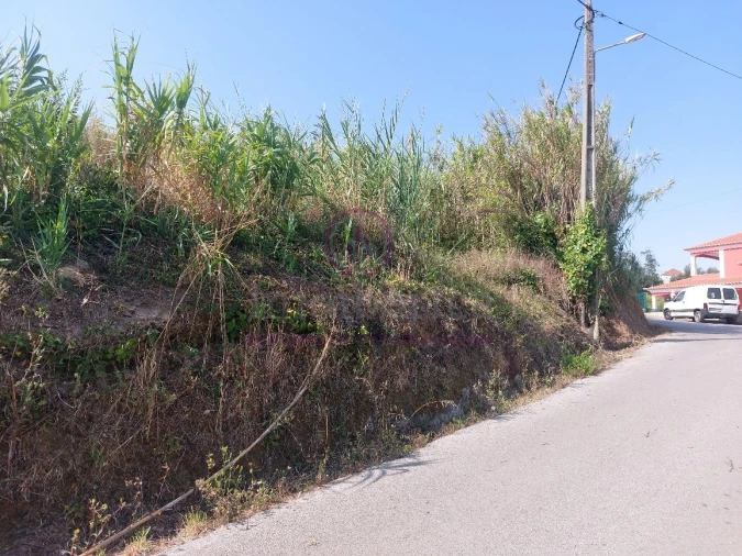 Terreno para Venda em Milharado Foto 2
