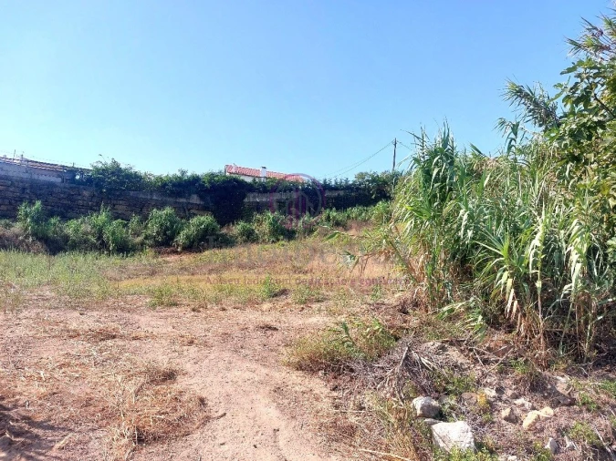 Terreno para Venda em Milharado Foto 19