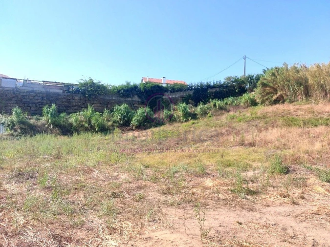 Terreno para Venda em Milharado Foto 6