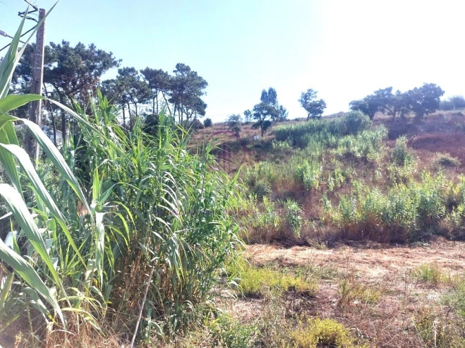 Terreno para Venda em Milharado Foto 12
