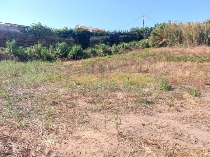 Terreno para Venda em Milharado Foto 26