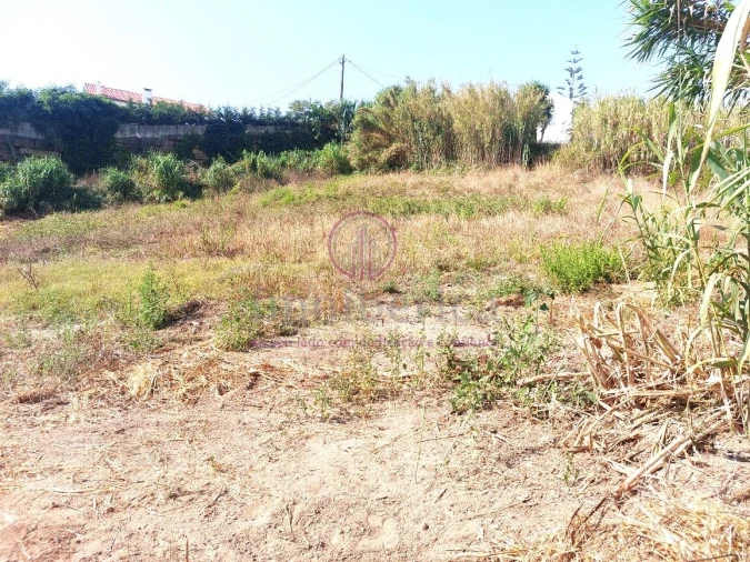 Terreno para Venda em Milharado Foto 13