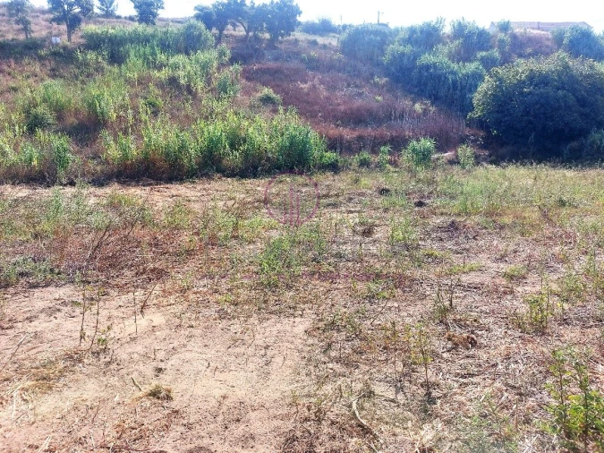Terreno para Venda em Milharado Foto 31