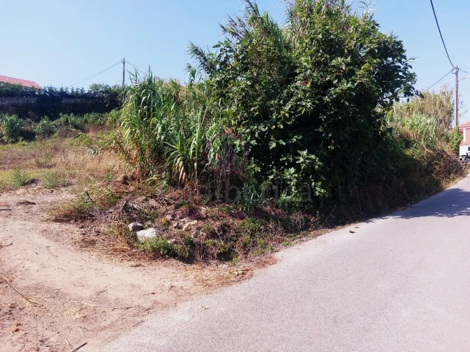 Terreno para Venda em Milharado Foto 32