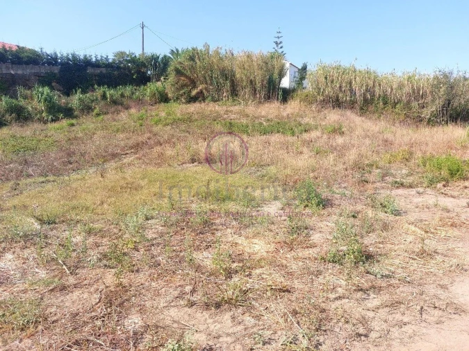 Terreno para Venda em Milharado Foto 34