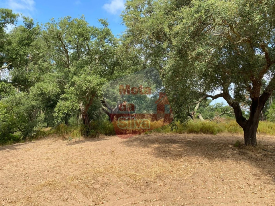 Terreno para Venda em Melides Foto 1