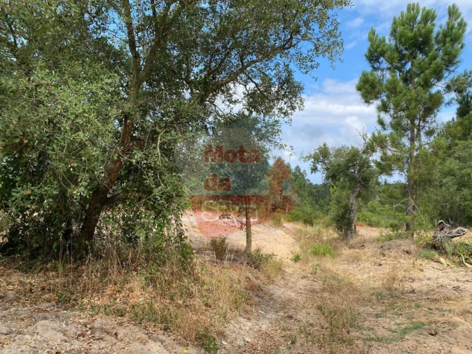 Terreno para Venda em Melides Foto 7