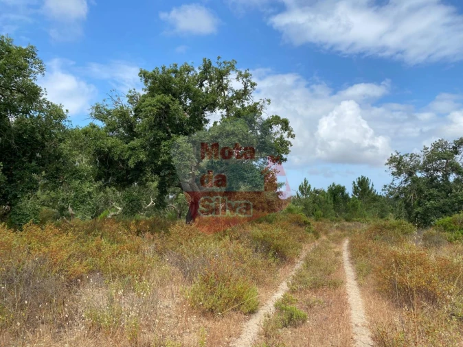 Terreno para Venda em Melides Foto 6