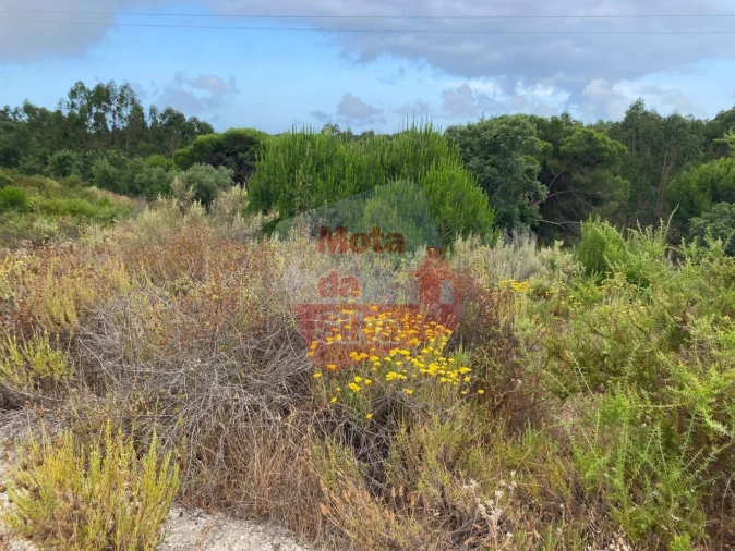 Terreno para Venda em Melides Foto 14