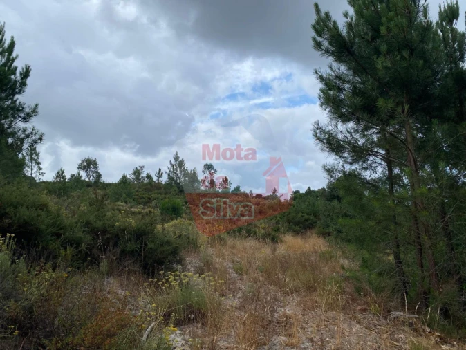 Terreno para Venda em Melides Foto 18