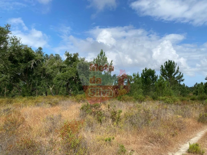 Terreno para Venda em Melides Foto 17
