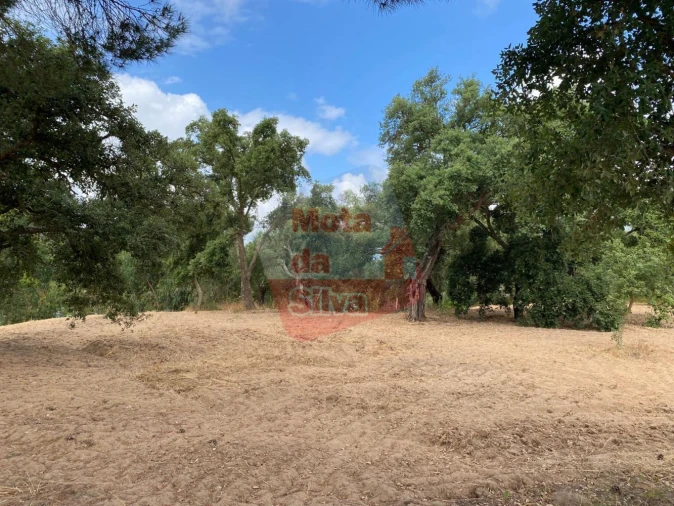 Terreno para Venda em Melides Foto 10