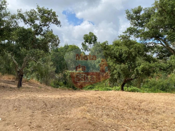 Terreno para Venda em Melides Foto 9