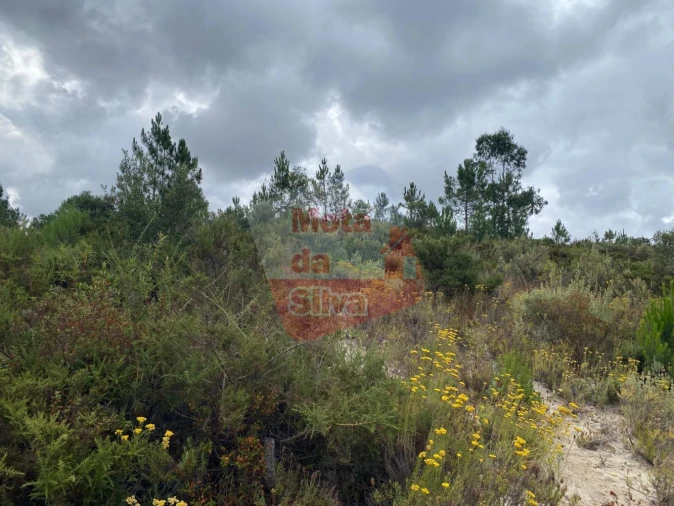 Terreno para Venda em Melides Foto 11