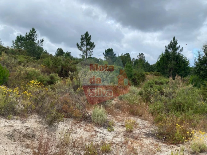 Terreno para Venda em Melides Foto 12