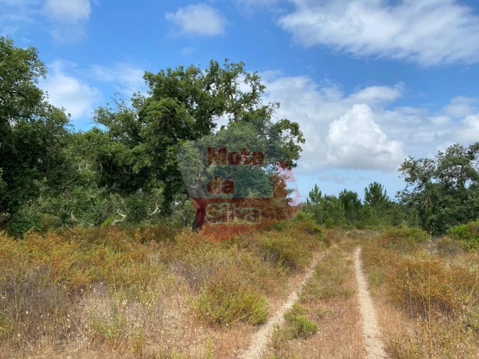 Terreno para Venda em Melides Foto 6