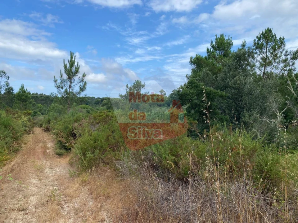 Terreno para Venda em Melides Foto 15