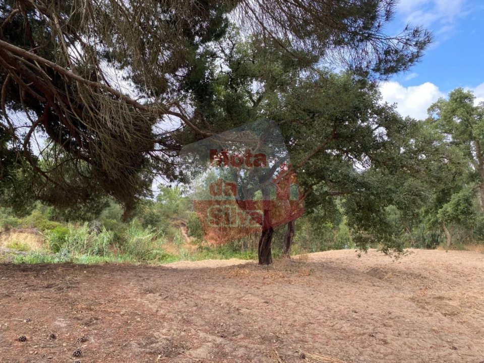 Terreno para Venda em Melides Foto 2
