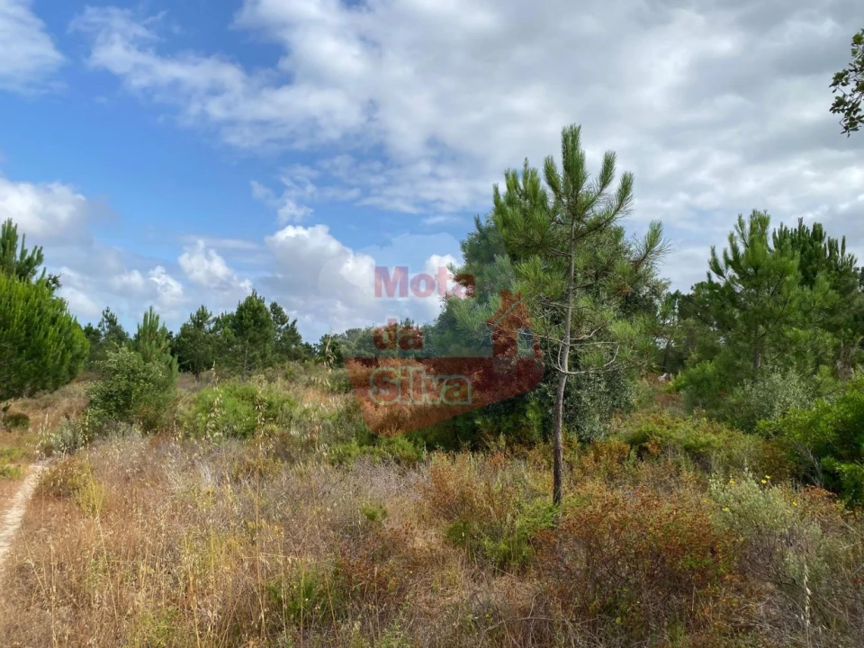 Terreno para Venda em Melides Foto 3