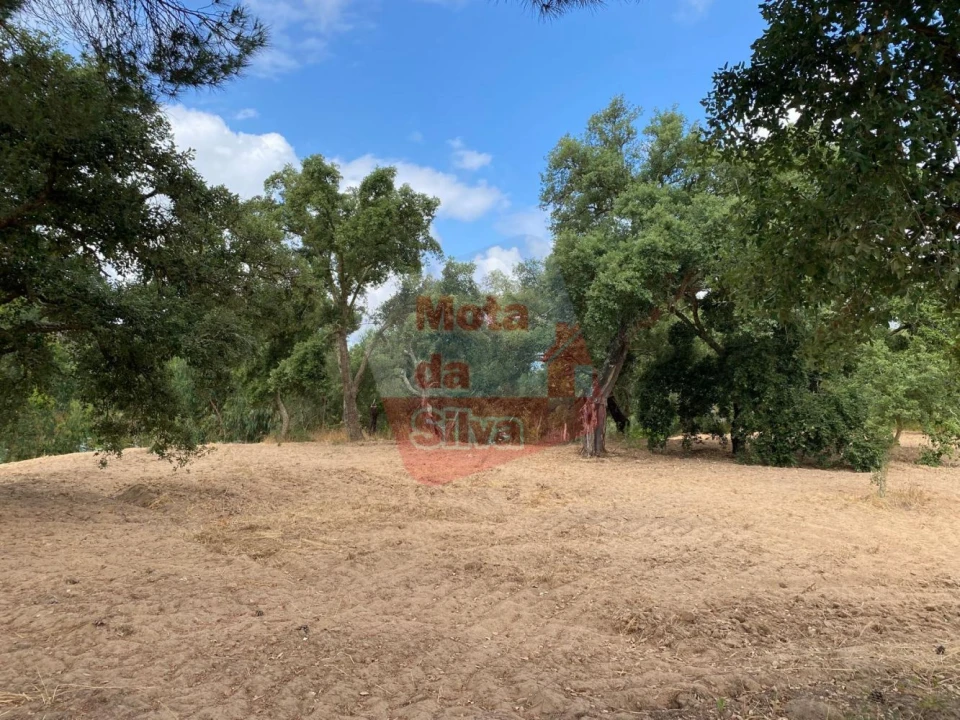 Terreno para Venda em Melides Foto 10
