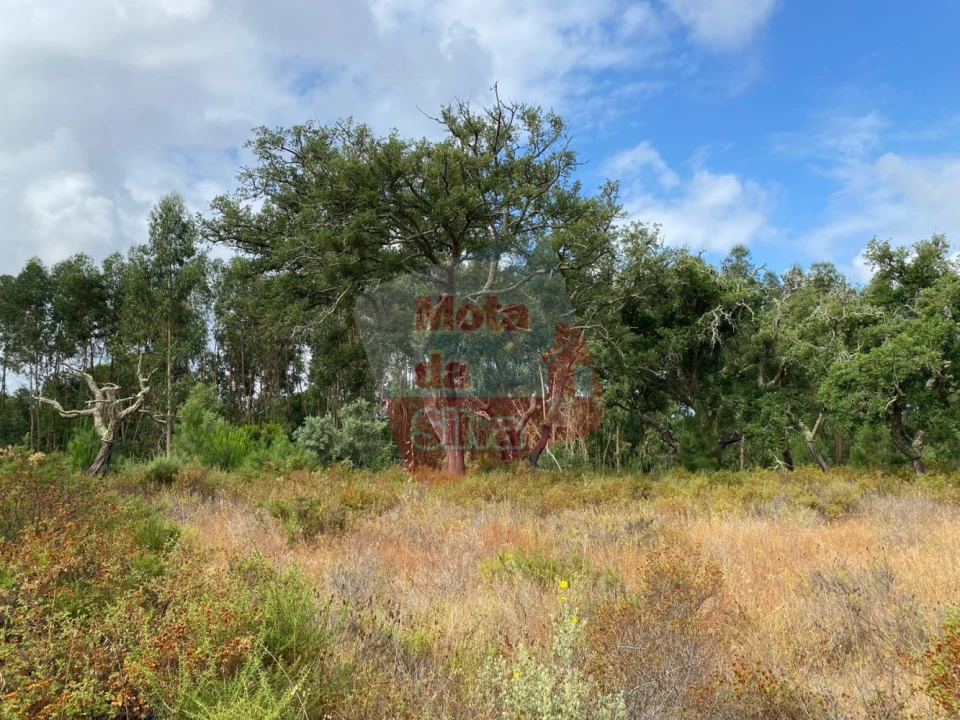 Terreno para Venda em Melides Foto 8
