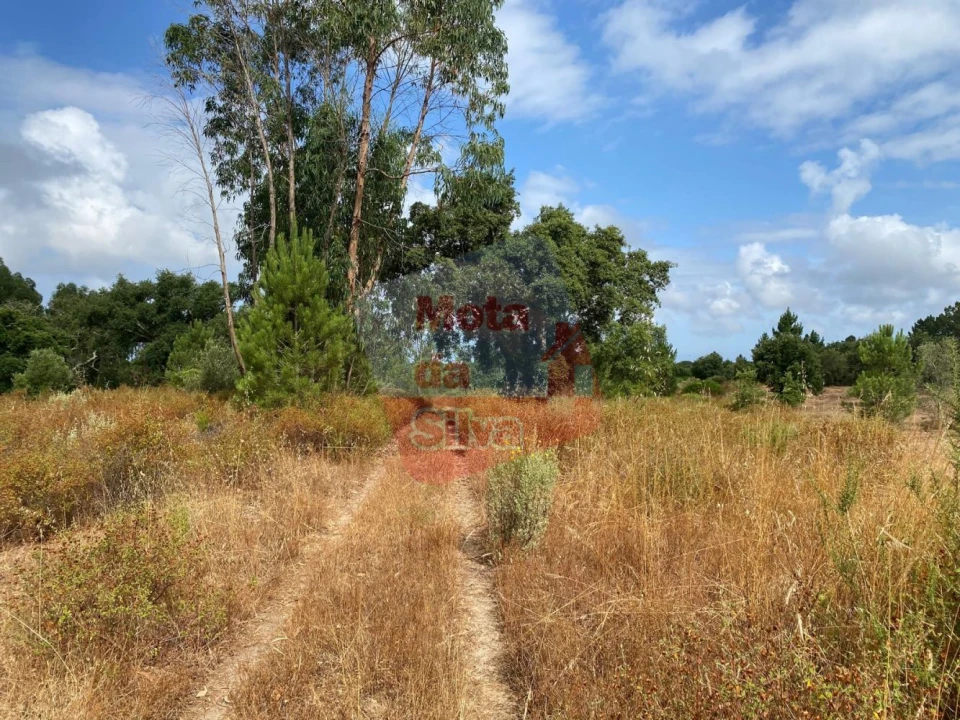 Terreno para Venda em Melides Foto 4