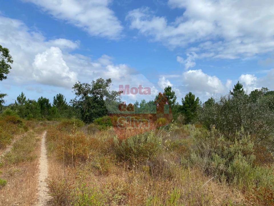 Terreno para Venda em Melides Foto 16