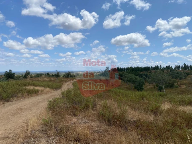 Terreno para Venda em São Francisco da Serra Foto 4