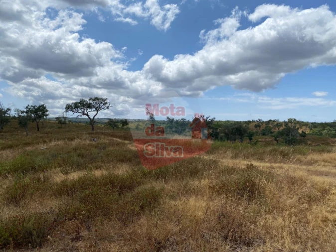 Terreno para Venda em São Francisco da Serra Foto 5