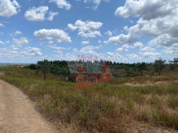 Terreno para Venda em São Francisco da Serra Foto 10