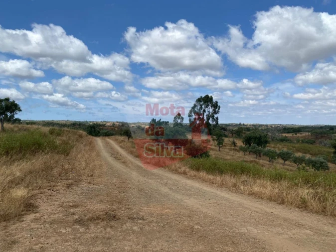 Terreno para Venda em São Francisco da Serra Foto 8