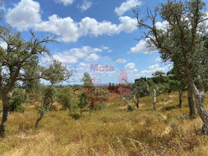Terreno para Venda em São Francisco da Serra Foto 9