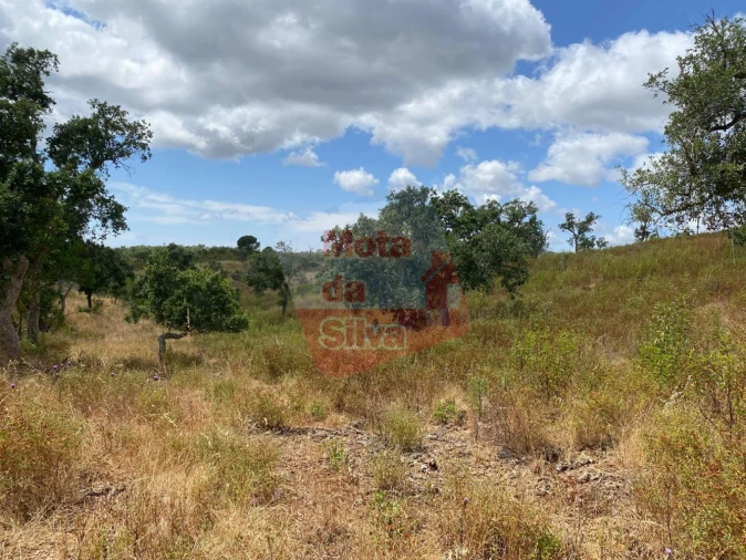 Terreno para Venda em São Francisco da Serra Foto 12