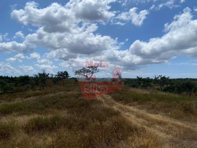 Terreno para Venda em São Francisco da Serra Foto 1