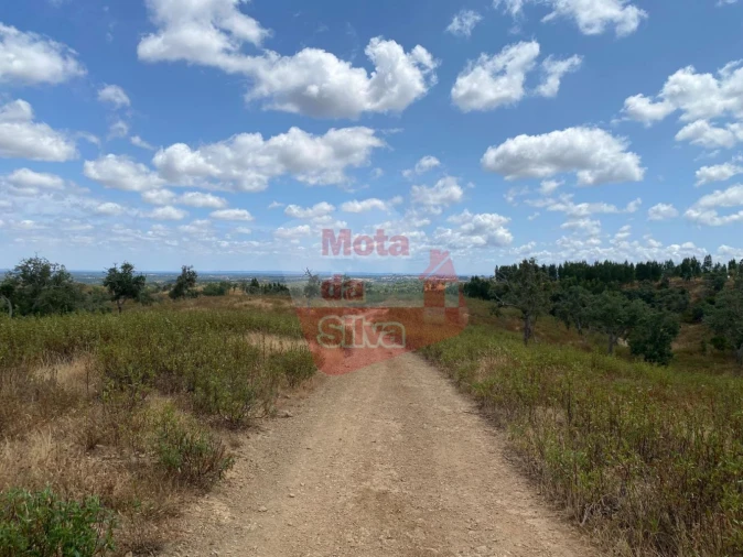 Terreno para Venda em São Francisco da Serra Foto 3