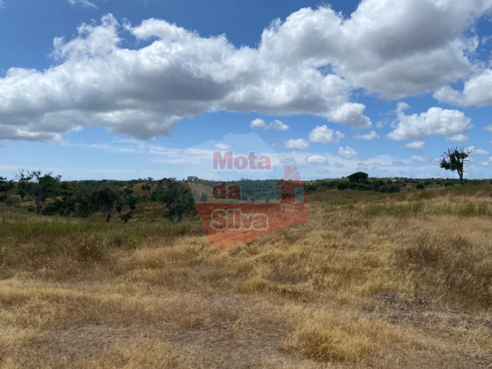 Terreno para Venda em São Francisco da Serra Foto 7