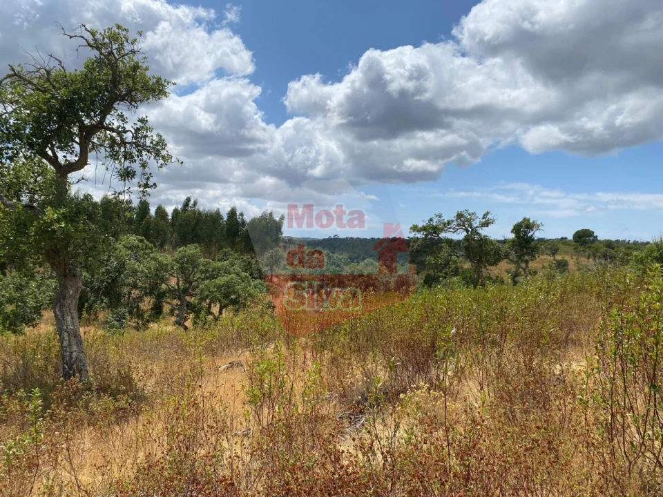 Terreno para Venda em São Francisco da Serra Foto 14