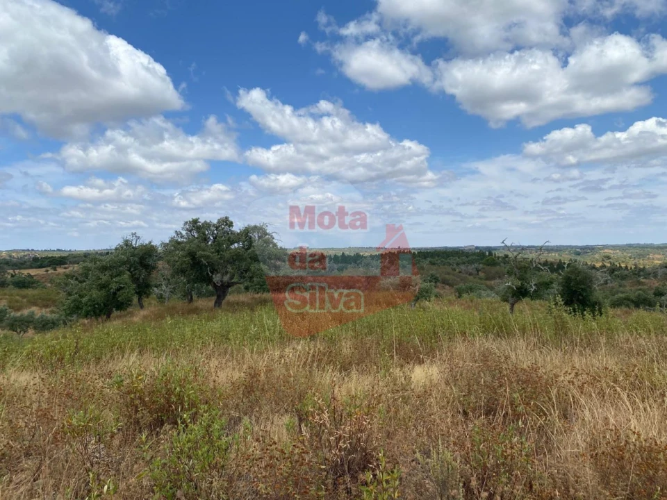 Terreno para Venda em São Francisco da Serra Foto 6
