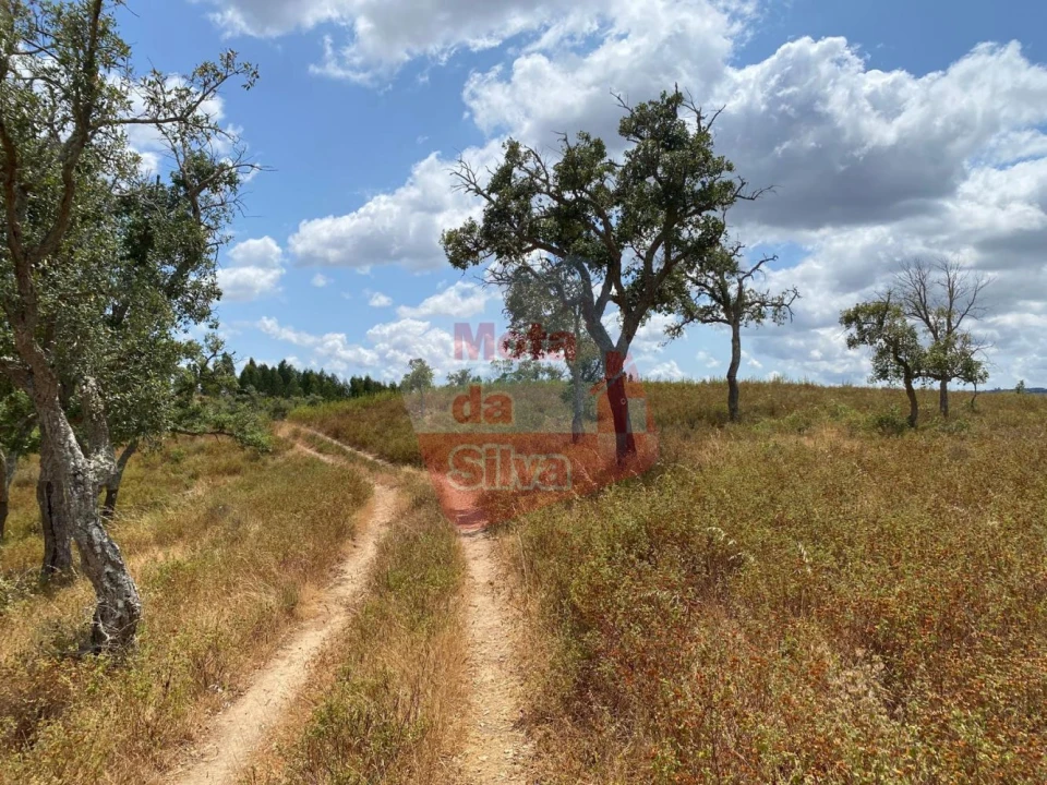Terreno para Venda em São Francisco da Serra Foto 11