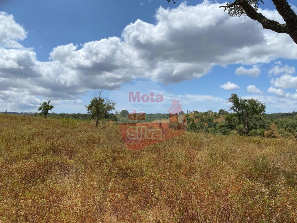 Terreno para Venda em São Francisco da Serra Foto 13
