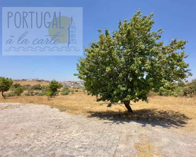 Moradia T5 para Venda em Ourique Foto 87