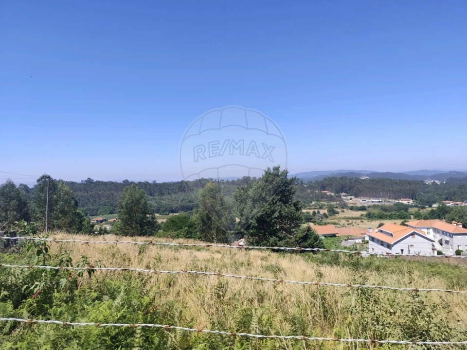 Terreno para Venda em Ardegão, Arnozela e Seidões Foto 26