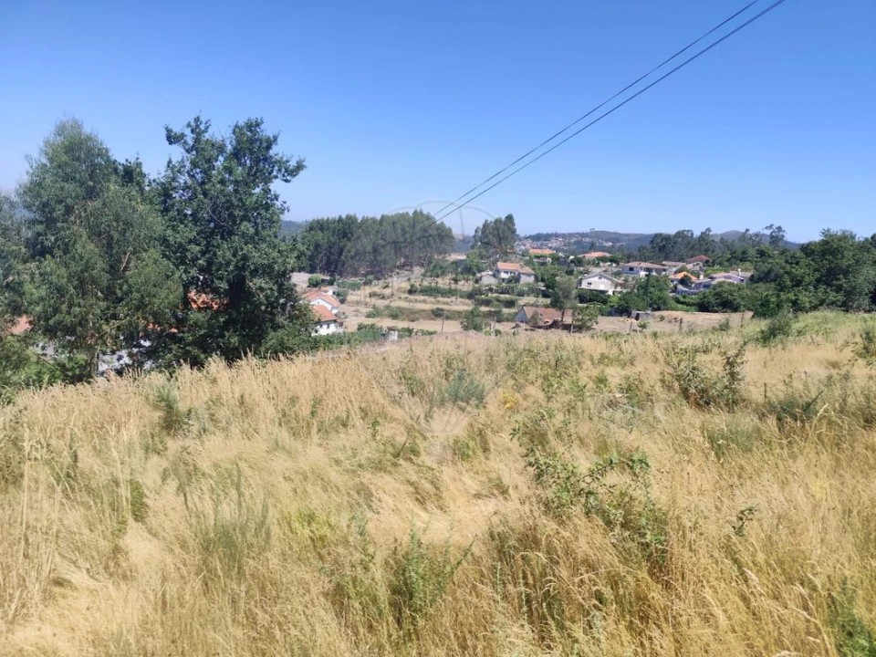 Terreno para Venda em Ardegão, Arnozela e Seidões Foto 16