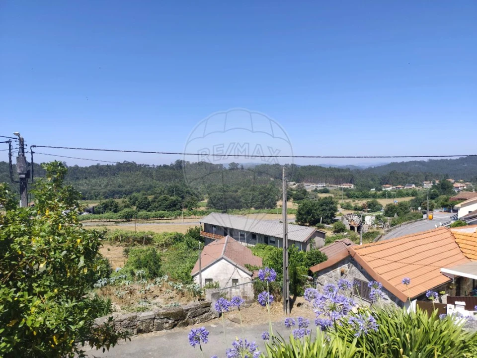 Terreno para Venda em Ardegão, Arnozela e Seidões Foto 29